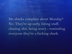 Sharks Saying