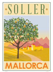 Soller Orange Tree Illustration